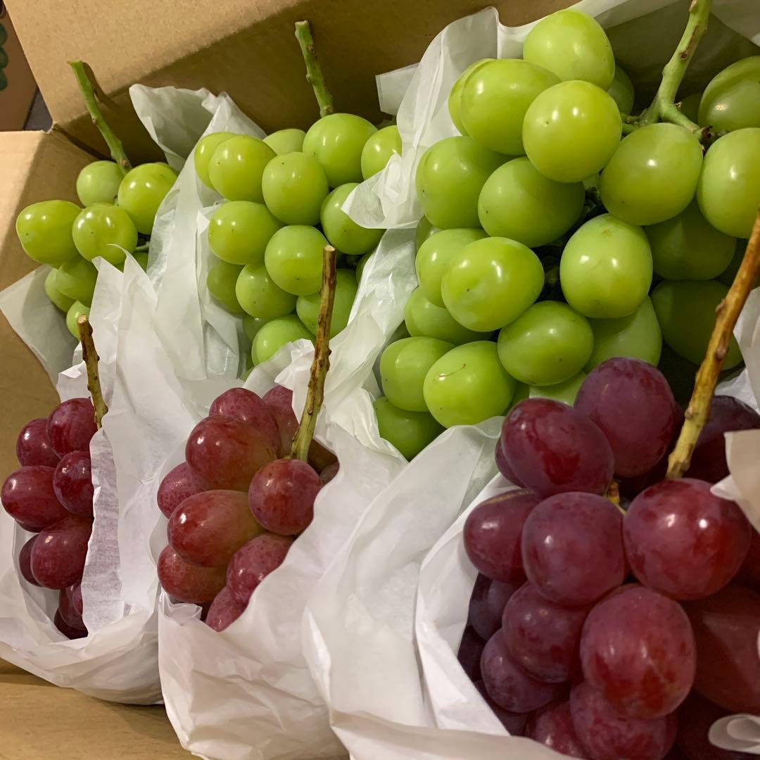 信州　大粒シャインマスカット＆クイーンルージュ®︎ （3キロ以上）