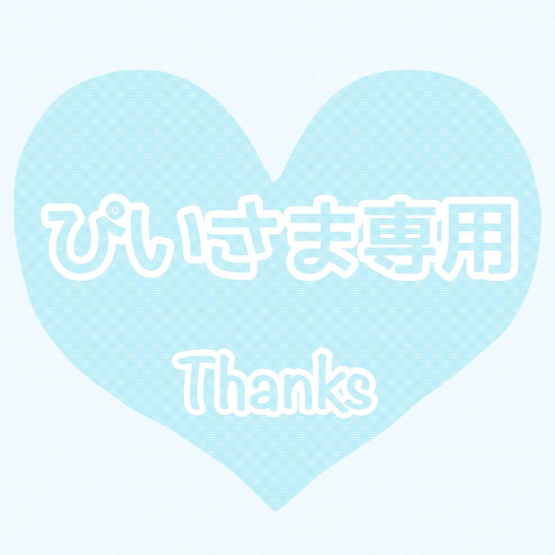 ♡ぴいさま専用♡ トリミングチョーカー