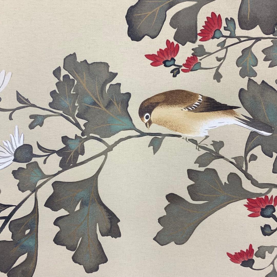 掛軸 酒井抱一 菊に小禽図 十二ヶ月花島図 木箱 工芸 太巻 7-25