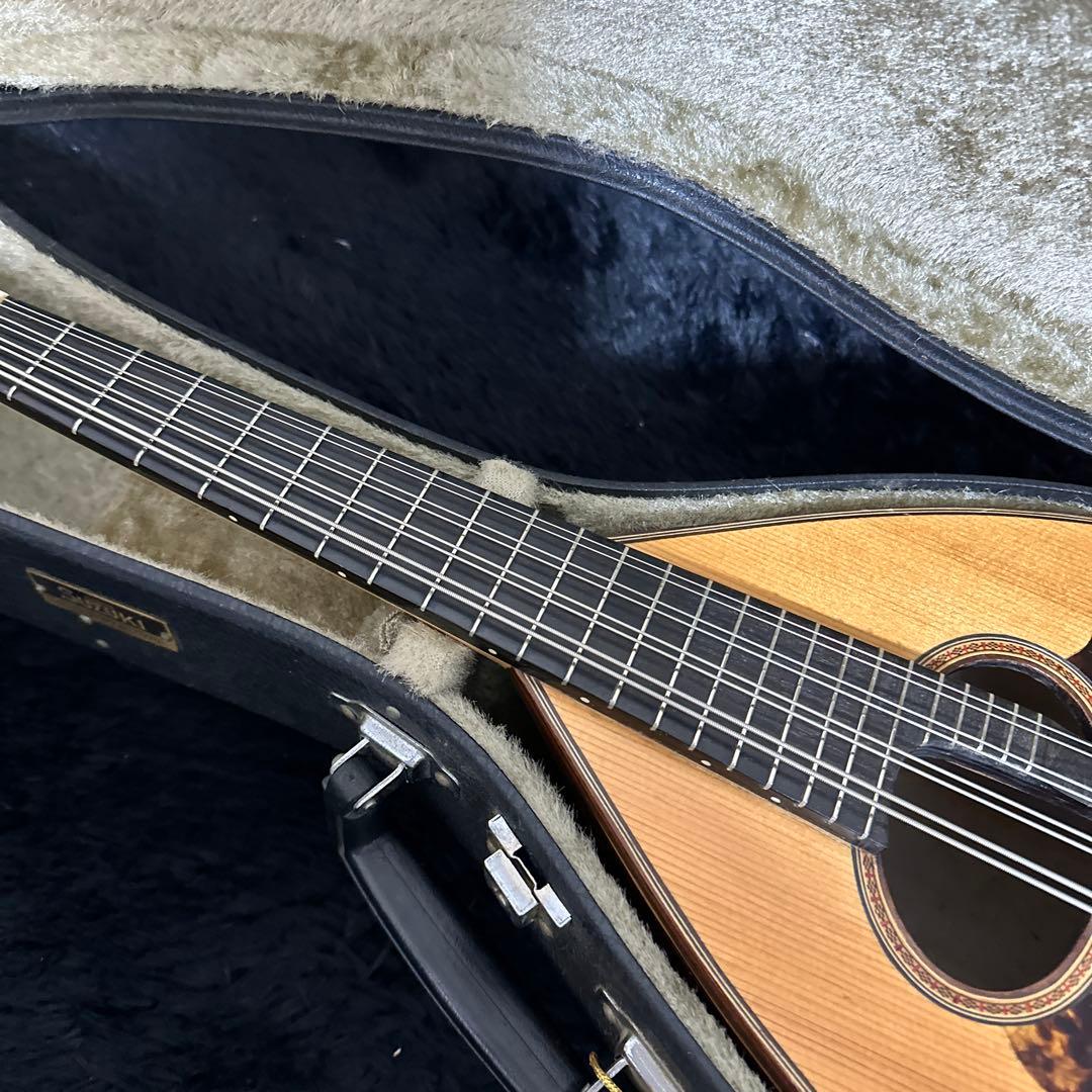 激レア! S.Watanabe No.250 マンドラ 弦楽器 ケース付属