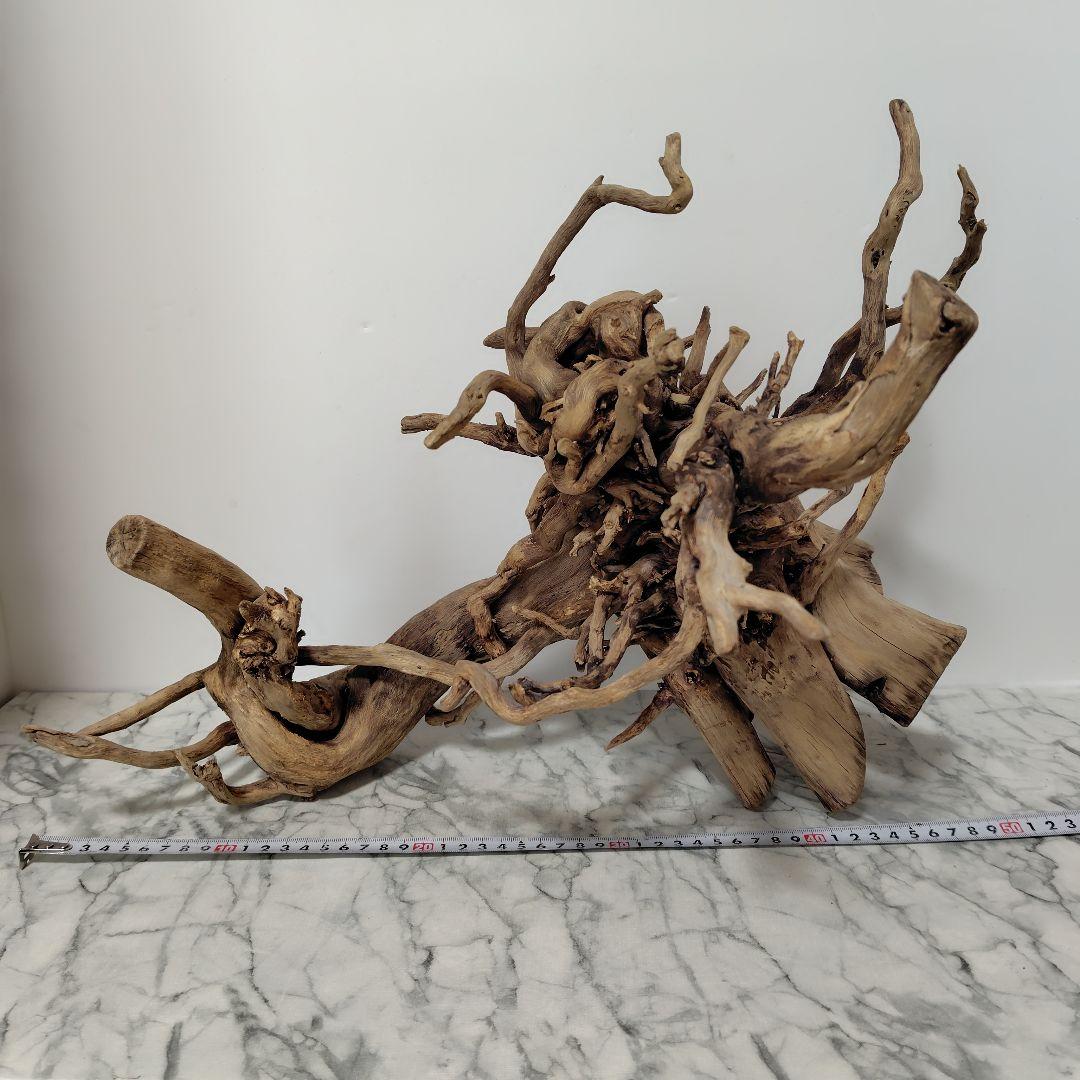 アク抜き済み流木【860】セール