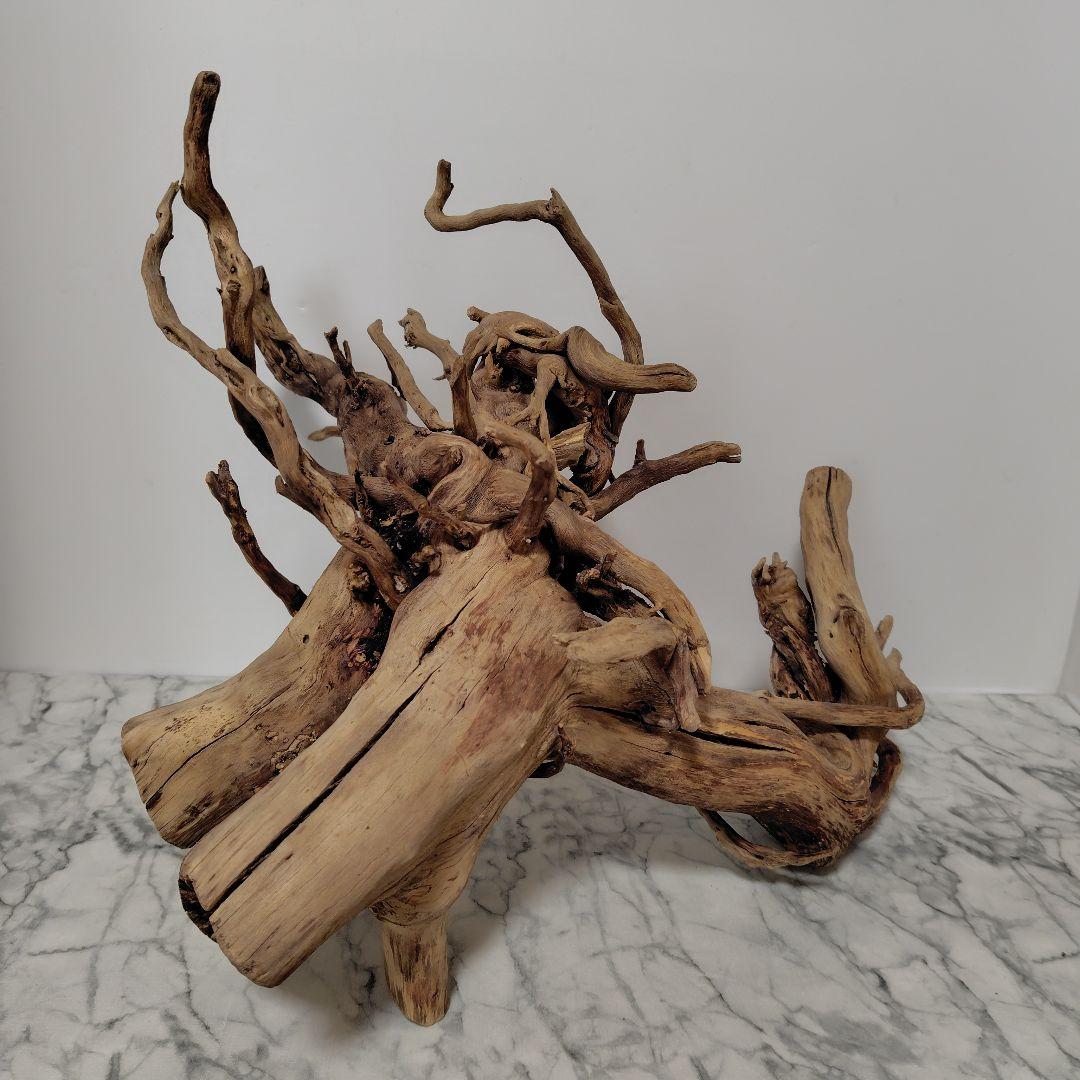 アク抜き済み流木【860】セール