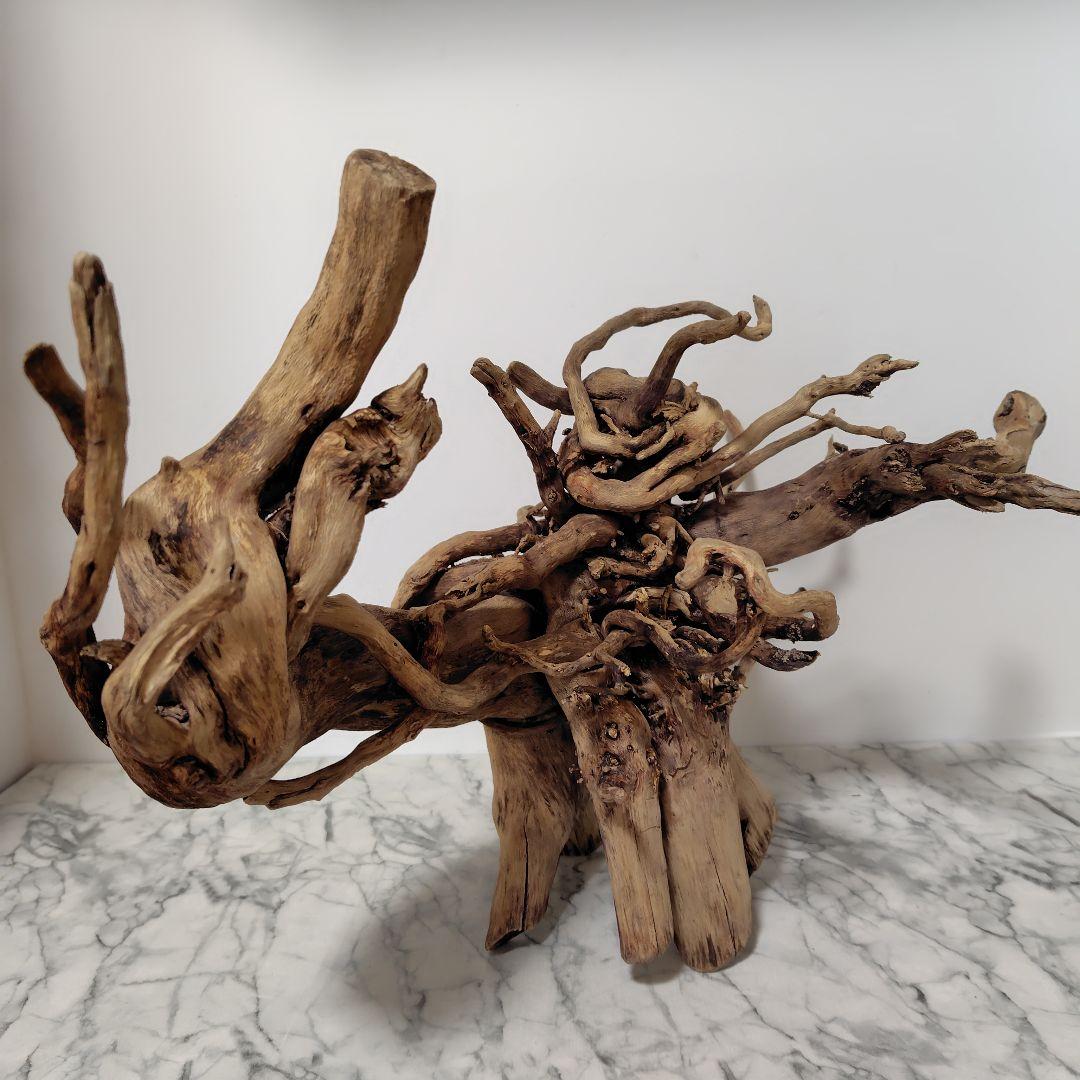 アク抜き済み流木【860】セール