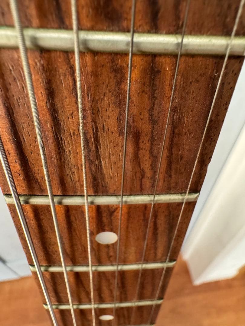 エピフォンエクスプローラー　送料無料　専用ケース付