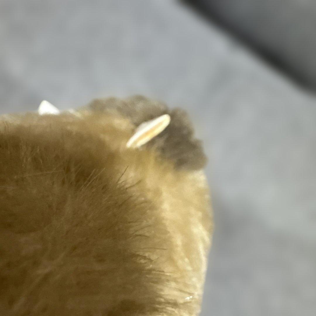 ヴィンテージ　ALFA/セイウチ　ぬいぐるみ　とど