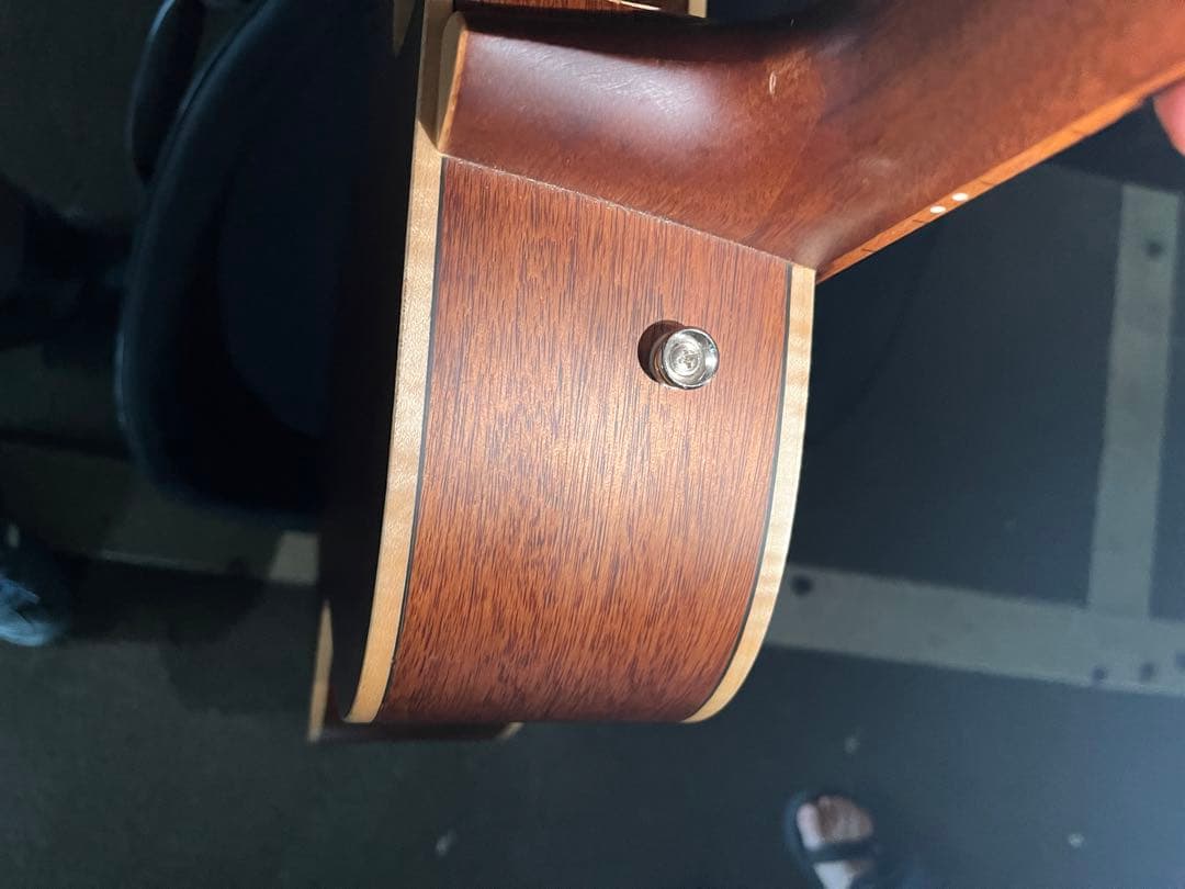 ギター Fender Newporte Special (natural)