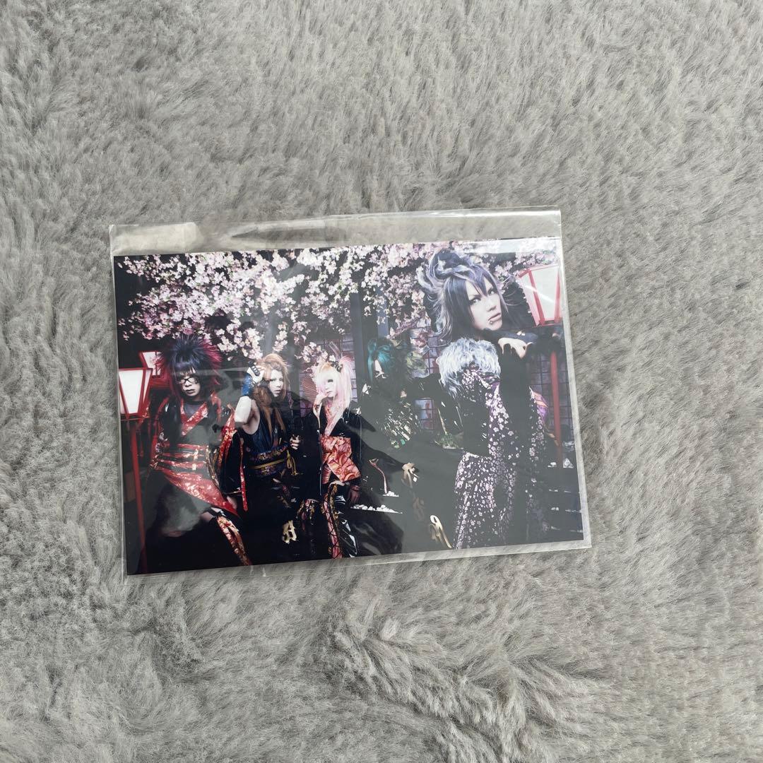 【セール中】己龍 過去アー写 セット