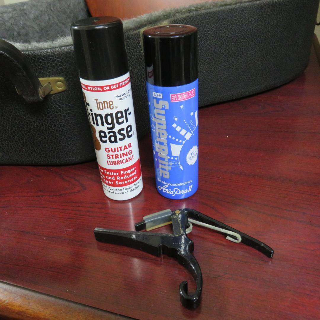 アコースティックギター シーガル ケース付き seagull S6 CEDAR