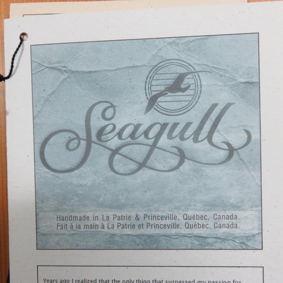 アコースティックギター シーガル ケース付き seagull S6 CEDAR