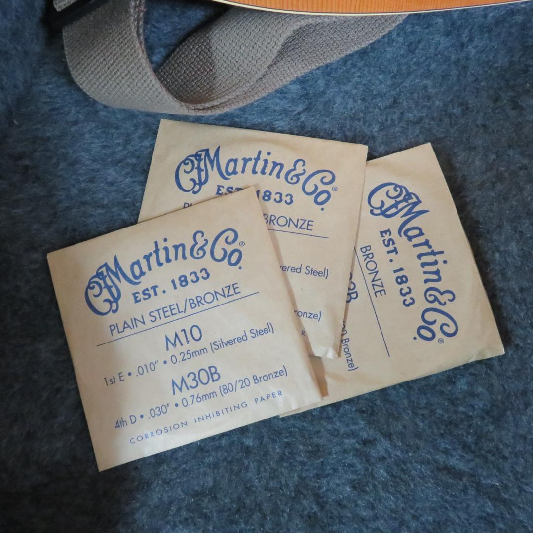 アコースティックギター シーガル ケース付き seagull S6 CEDAR