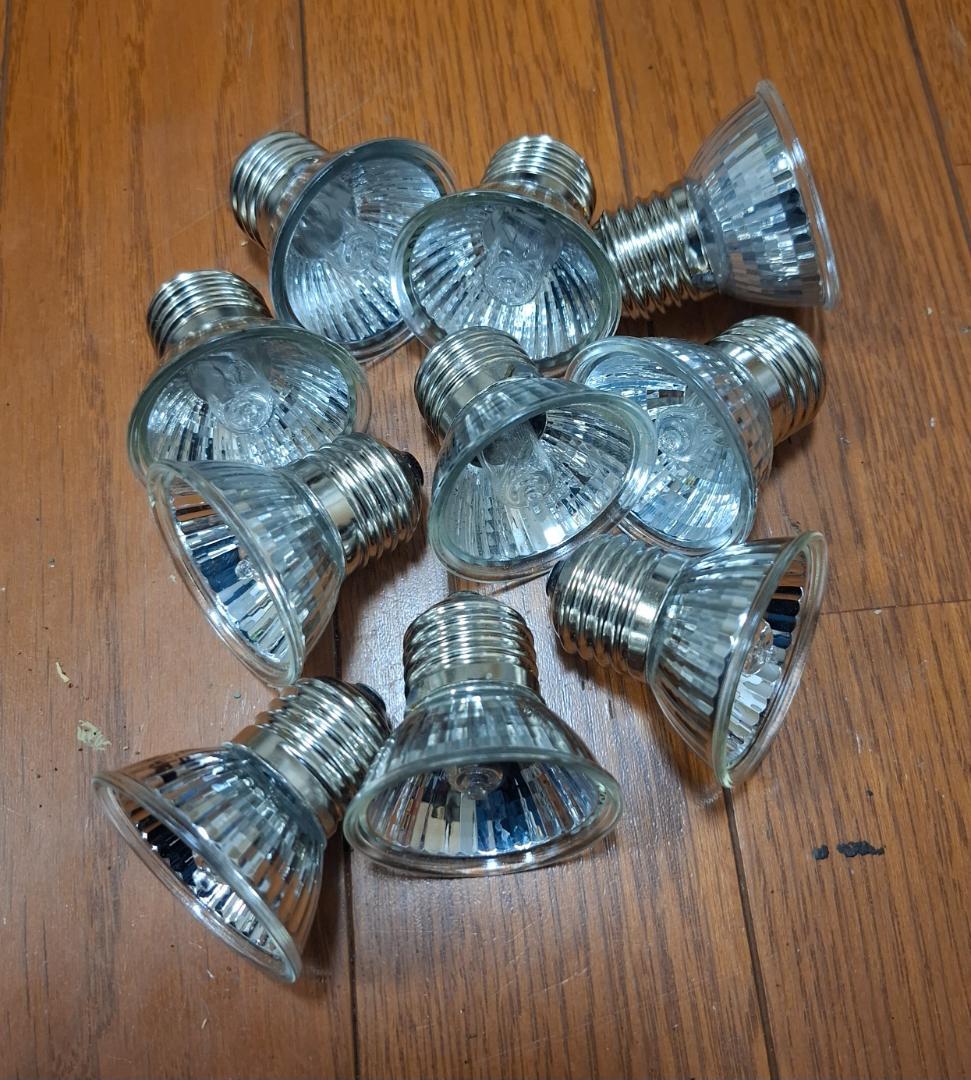 マイクロサン　UVランプ 　10個セット