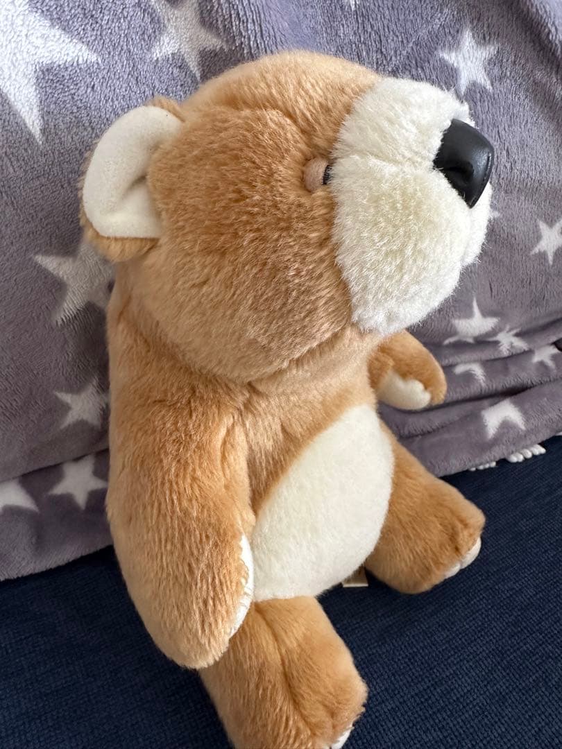 モンスイユ　ヒグマ