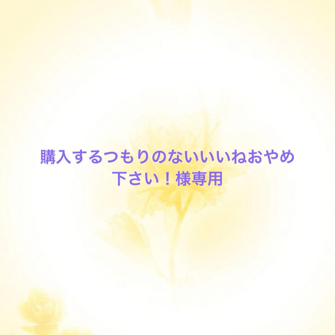 購入するつもりのないいいねおやめ下さい！様　6点