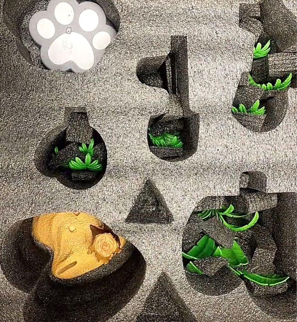 BLEACH 圓夢-STUDIO 四楓院夜一 豪華版 フィギュア