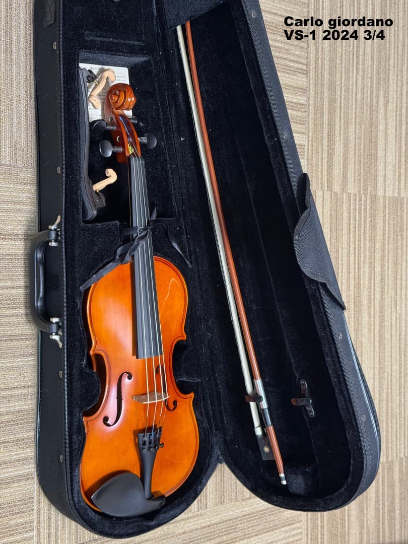 【美品】Carlo giordano VS-1 2024 3/4 バイオリン本体