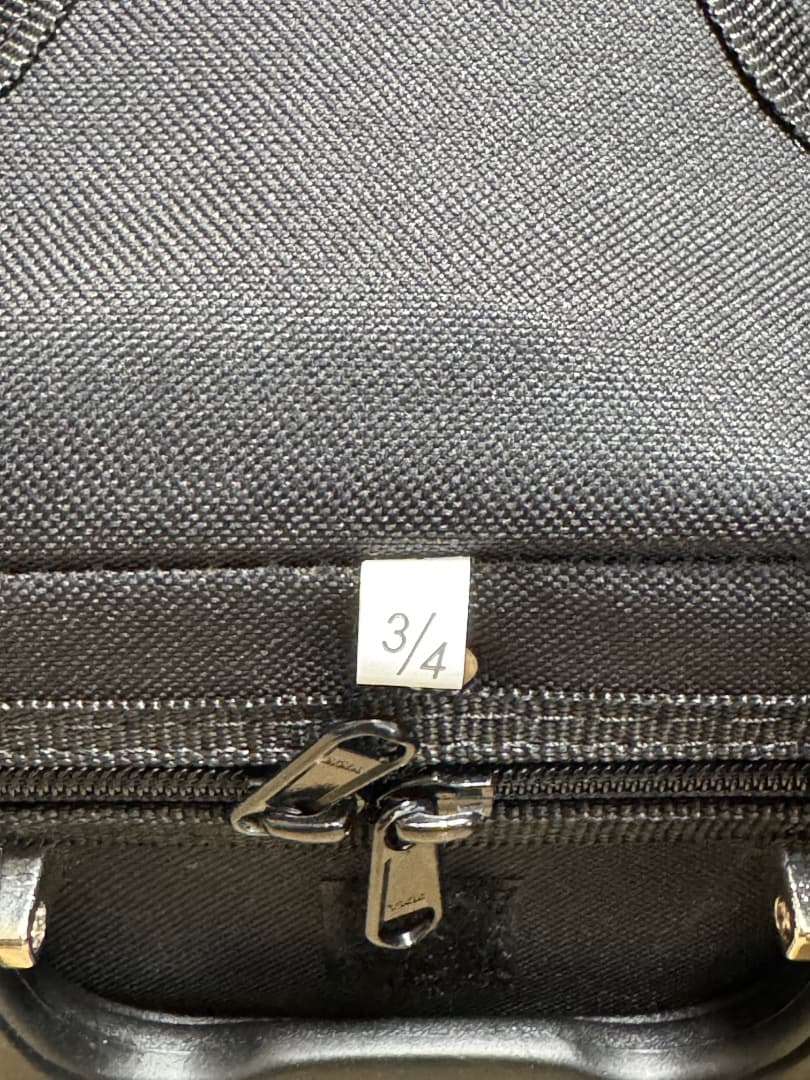 【美品】Carlo giordano VS-1 2024 3/4 バイオリン本体