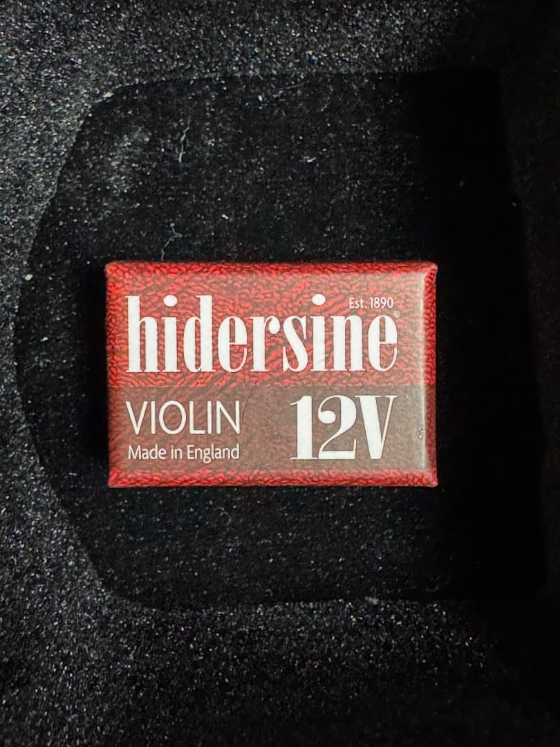 【美品】Carlo giordano VS-1 2024 3/4 バイオリン本体