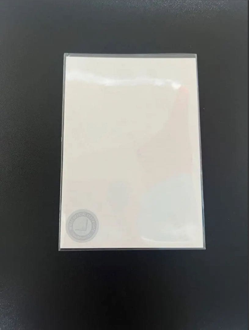 櫻坂46 向井純葉　2024クリスマスサンタ衣装　直筆サイン　ヨリ