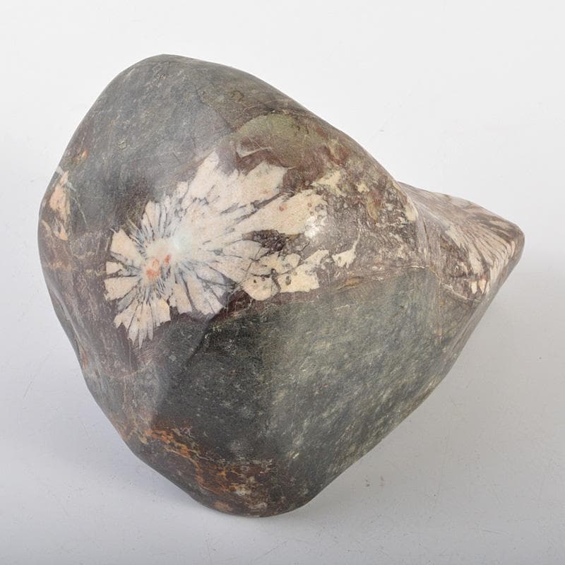 鑑賞石　天然石　菊花石　置物　重さ約2506g　V　6166