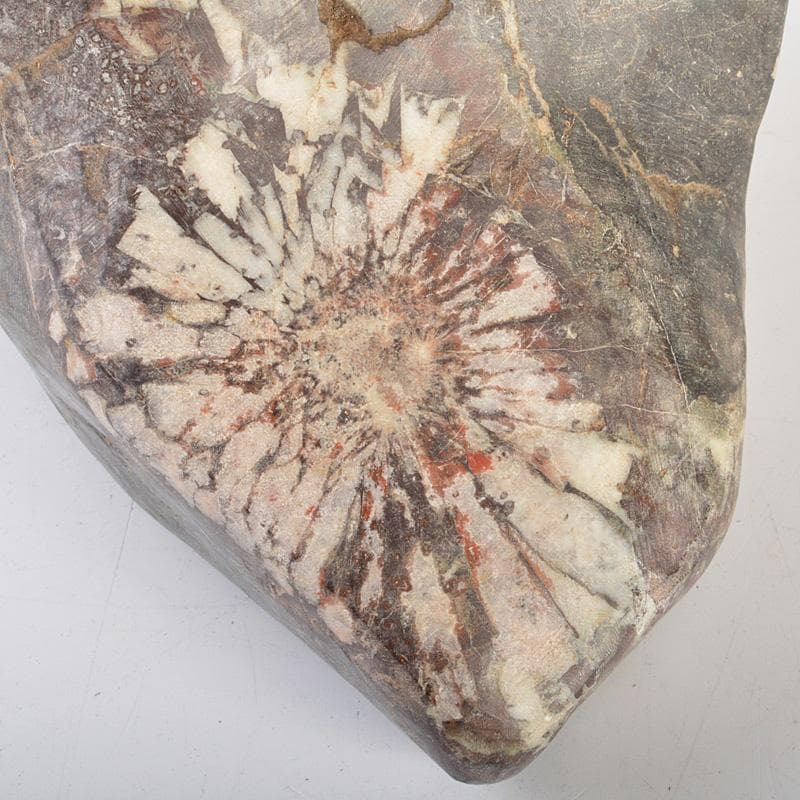 鑑賞石　天然石　菊花石　置物　重さ約2506g　V　6166