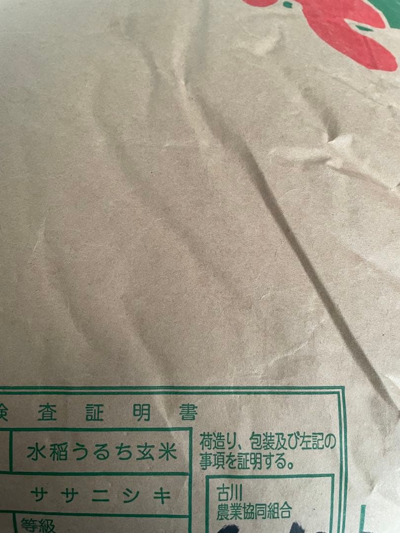 ササニシキ　宮城県産　農家直送 令和7年　玄米　３０キロ