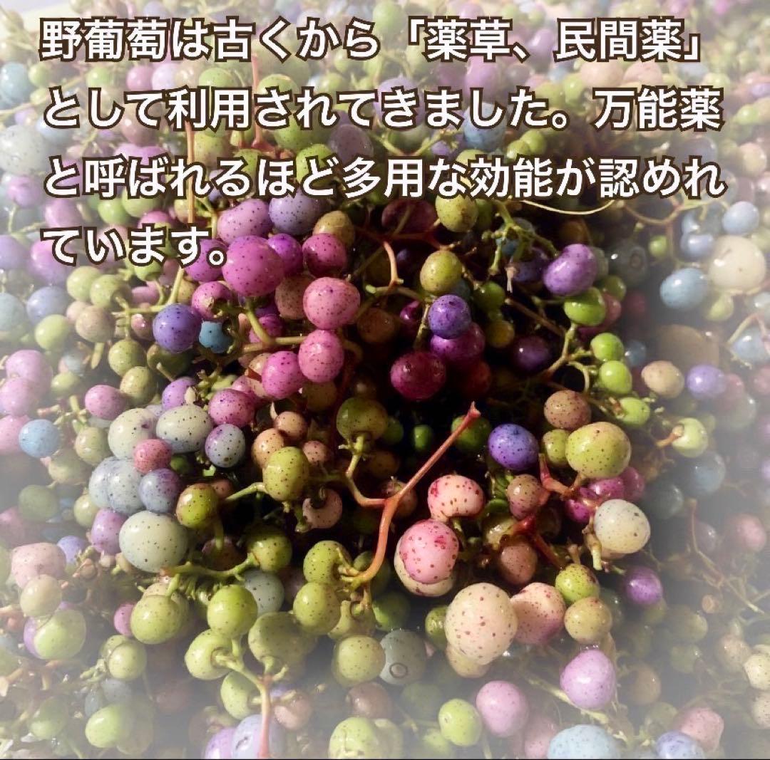 【採れたて】馬ぶどう250g×12袋　1年分3kg うまぶどう　薬膳　おすすめ