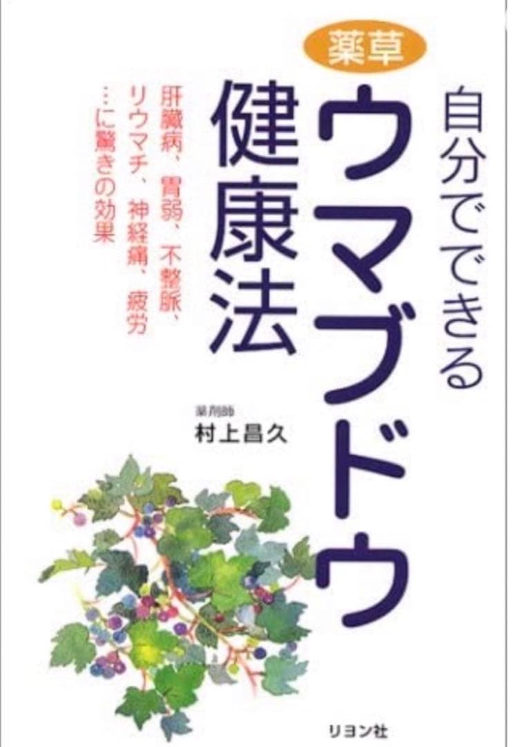 【採れたて】馬ぶどう250g×12袋　1年分3kg うまぶどう　薬膳　おすすめ