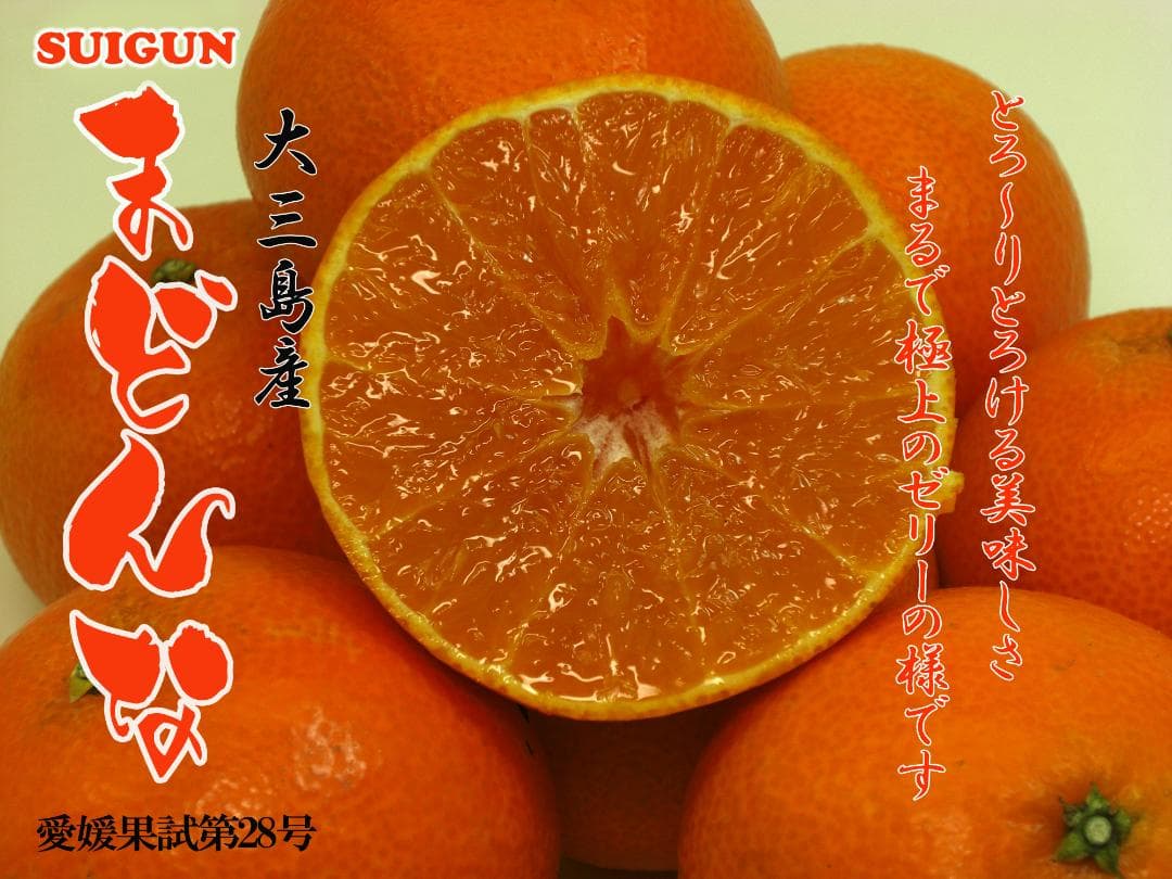 【mgmg】SUIGUNマドンナ6Kg×２か所発送