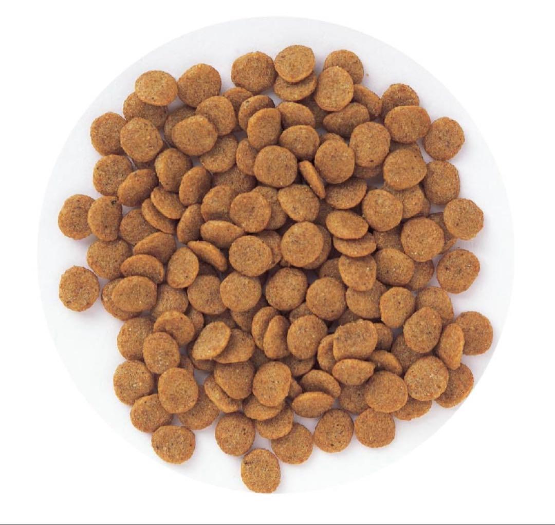 森乳サンワールド　ドッグフード　フィッシュ＆ポテト　シニアライト　7.5 kg