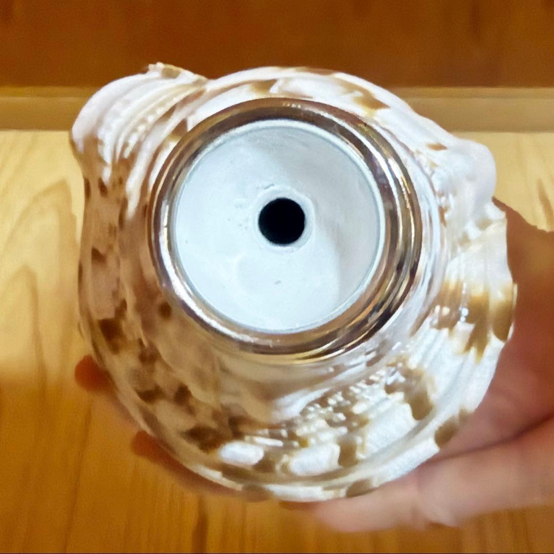 希少セイヨウ法螺貝　山伏　密教　魔除け熊よけホラガイ　ほら貝