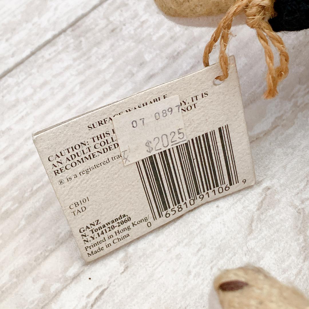 【タグ付】ノースアメリカンベア＆Ganz社製 テディベア2体セット★海外 レア