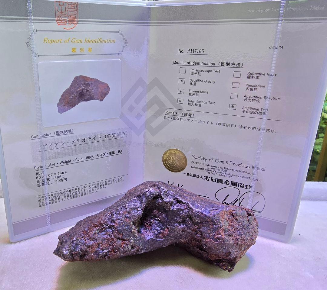 ⑥　隕石　メテオライト　カンポデルシエロ