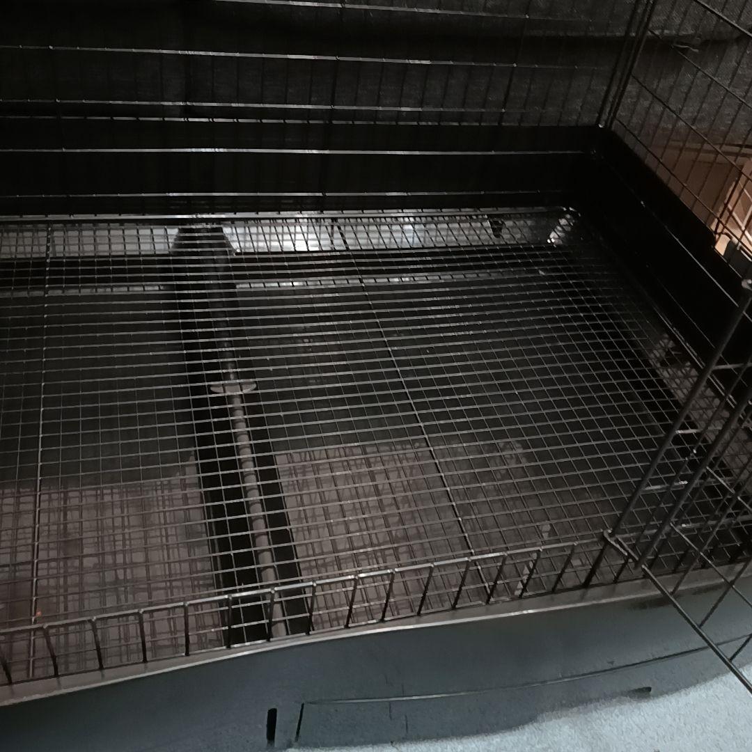 フェレット イージーホーム 80 カバー付き