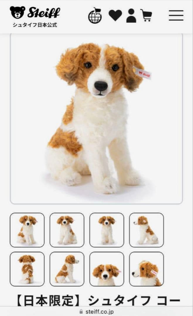 シュタイフ コーイケルホンディエ 25cm 日本限定