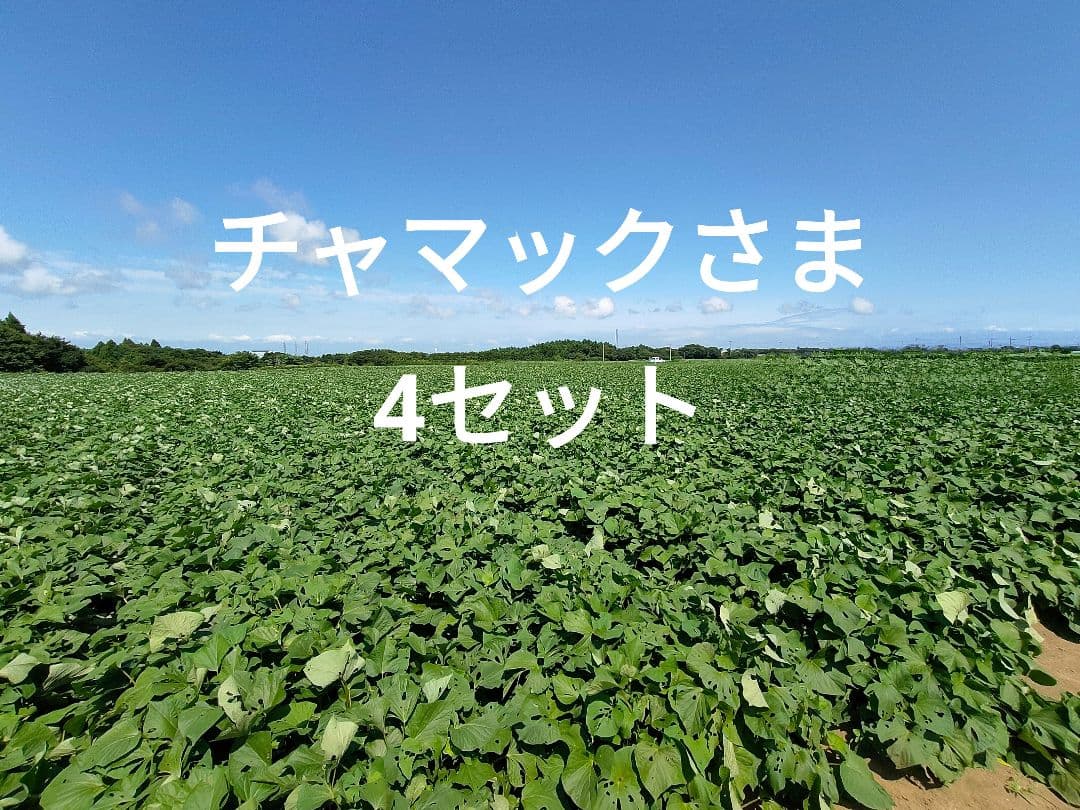 ★2.チャマックさま専用干し芋 国産 紅はるか 切り落とし800g×4セット