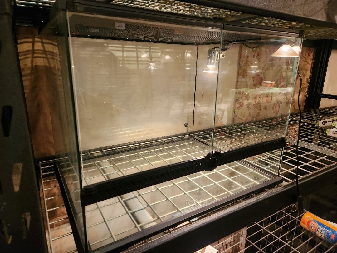 T複数割引送料込レインフォレストタンクL中古1台マイクロサン中古1台