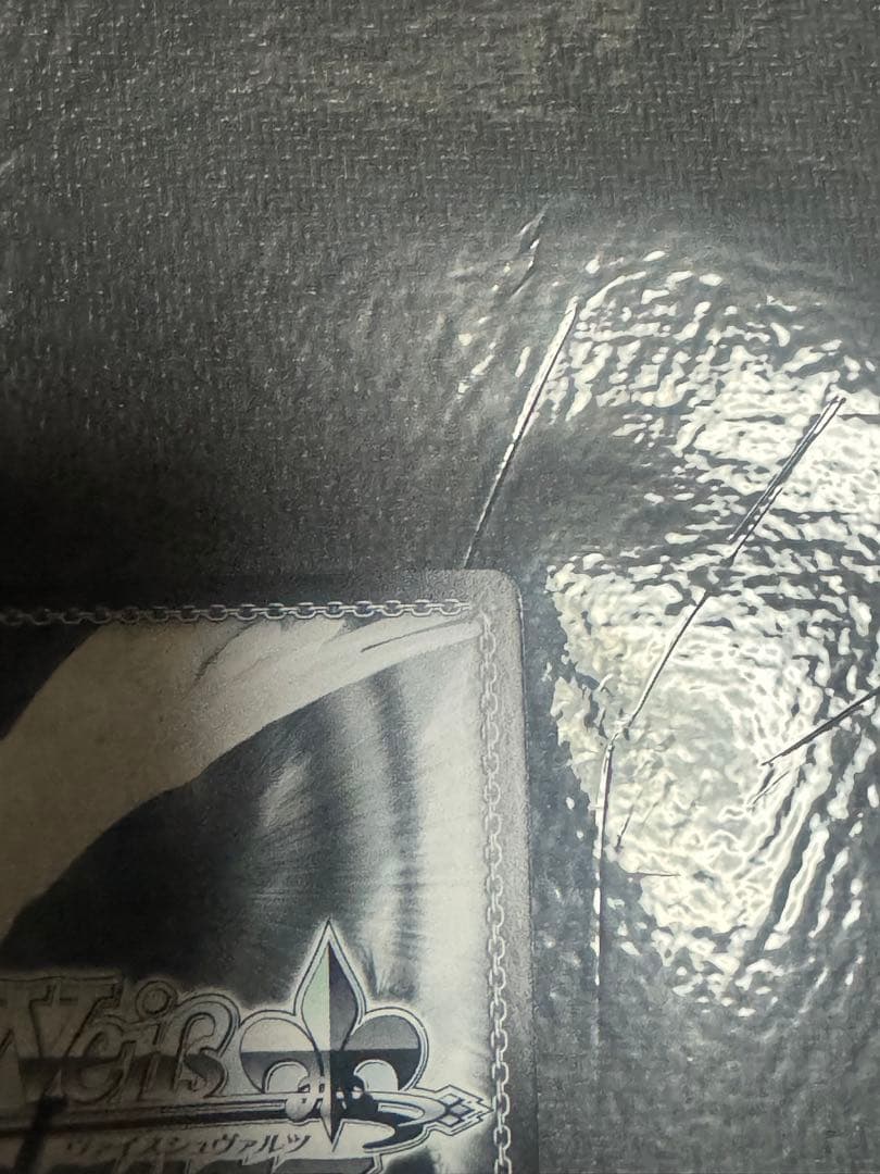 約束のパートナー　沙耶　SSP