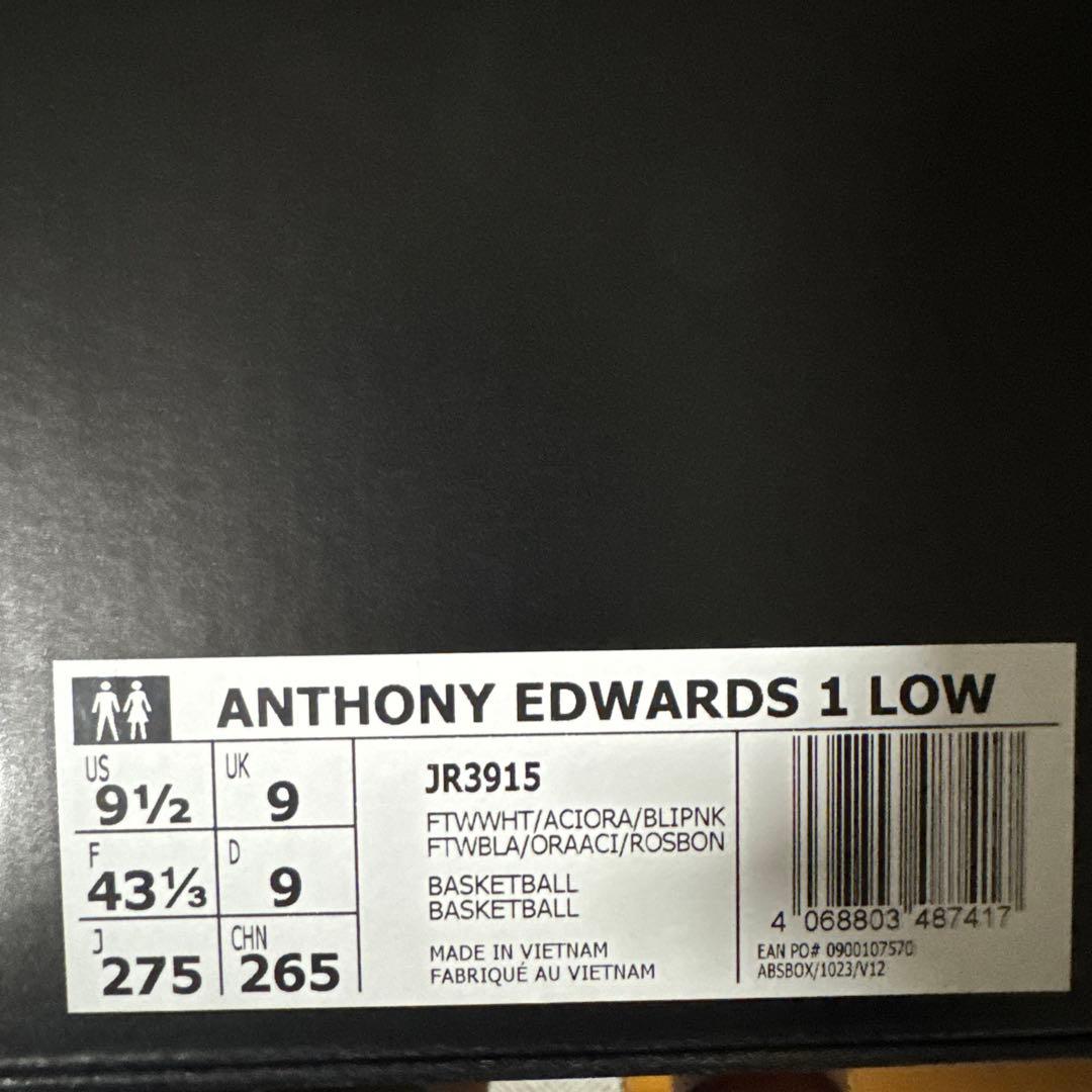 シューズ(男性用) AE1 LOW