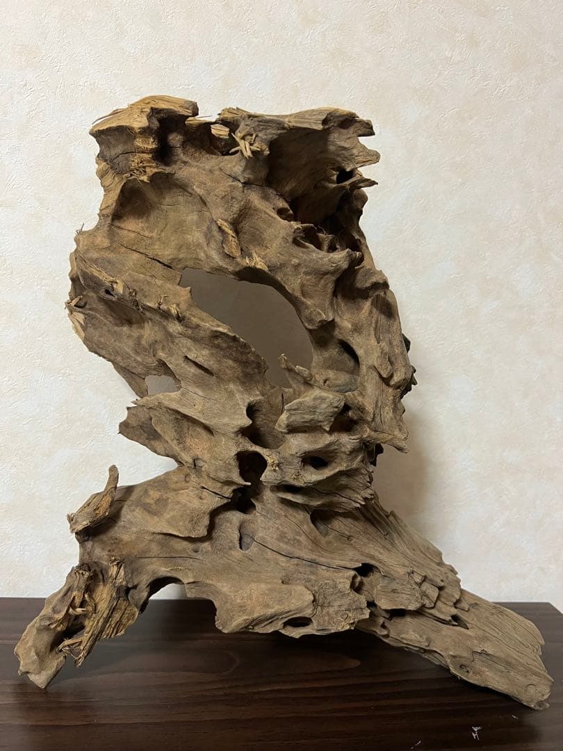 XM-198 流木　マシンガンウッド　アクアリウム　ブランチウッド　沈水確認済