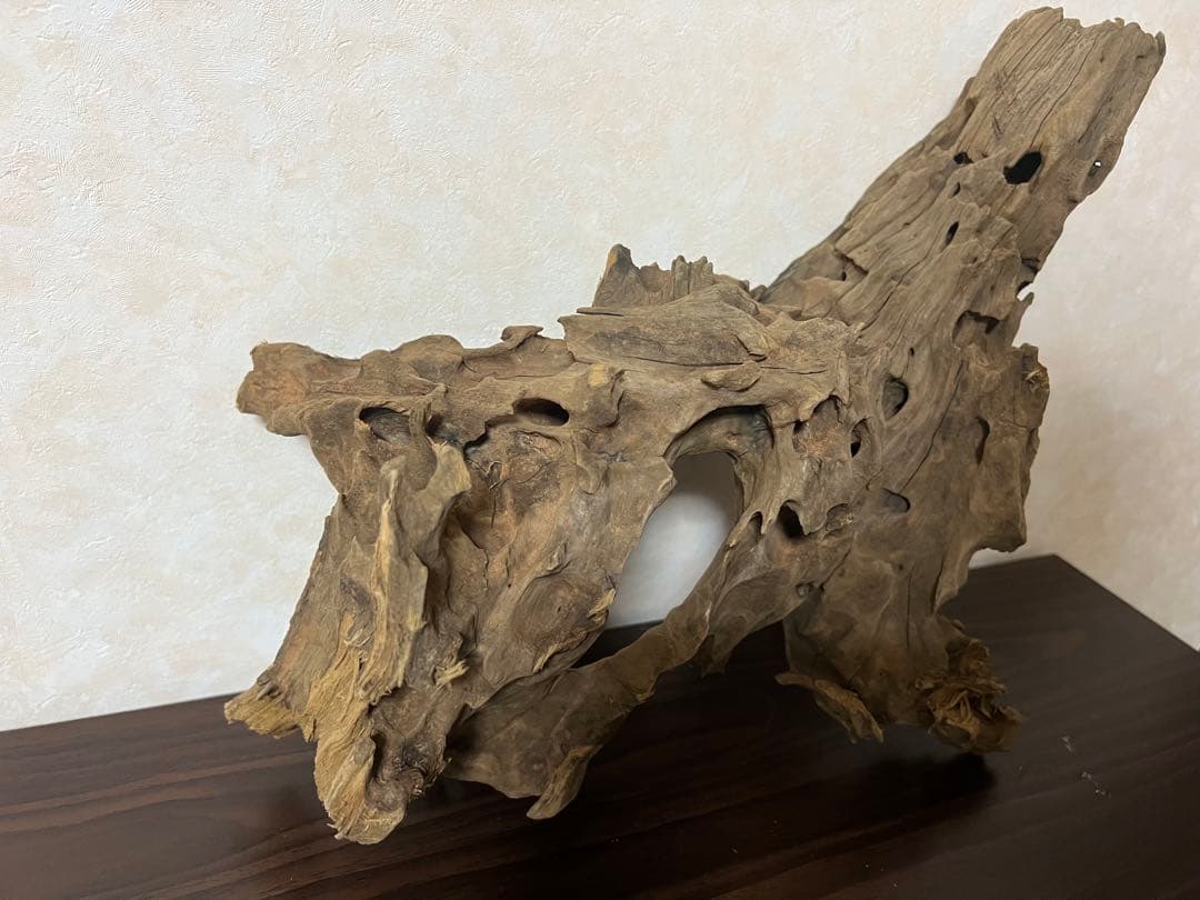 XM-198 流木　マシンガンウッド　アクアリウム　ブランチウッド　沈水確認済