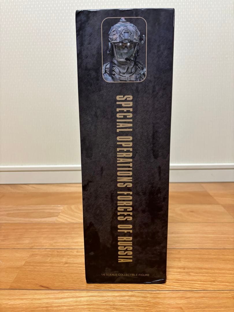 DAMTOYS 1/6 ロシア特殊作戦軍 SSO アクションフィギュア