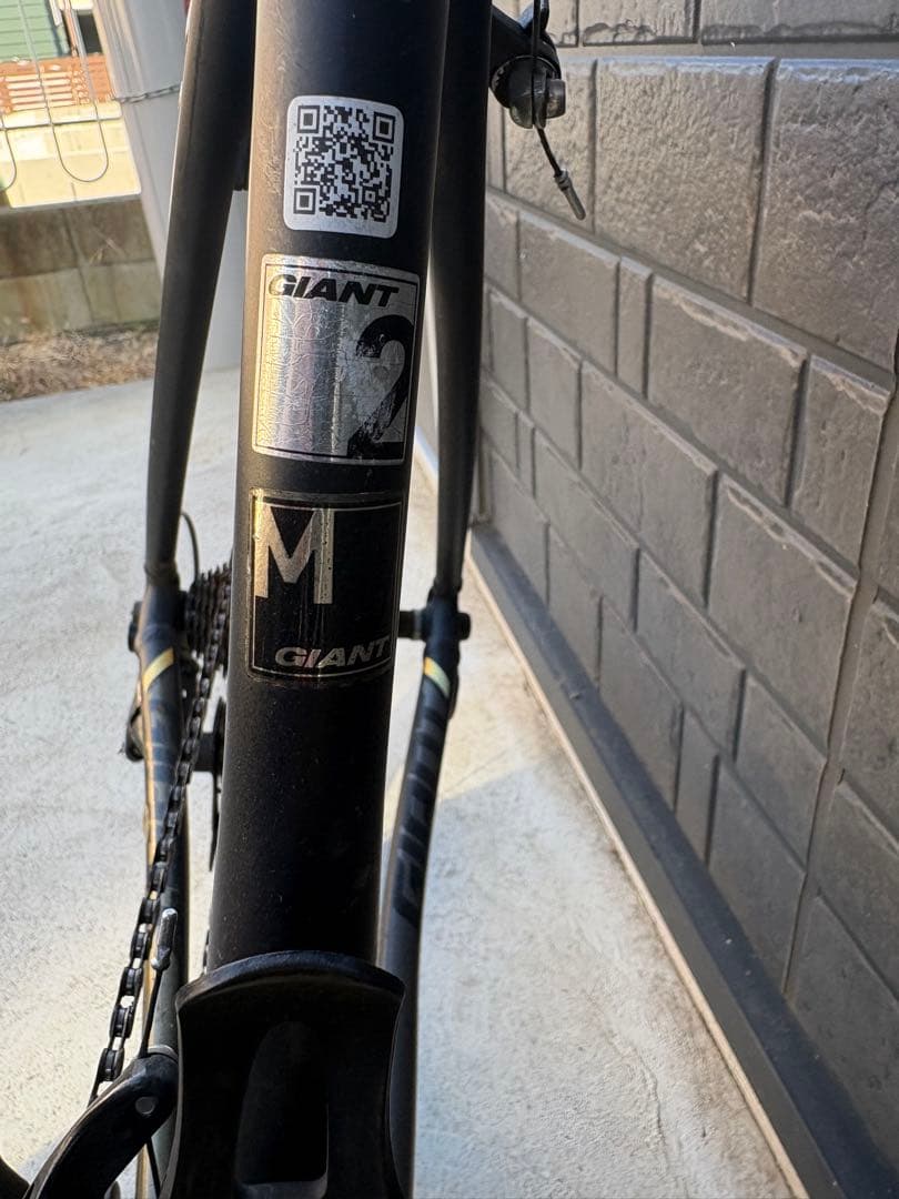 GIANT TCR SL2 (2018)本体(送料込み)