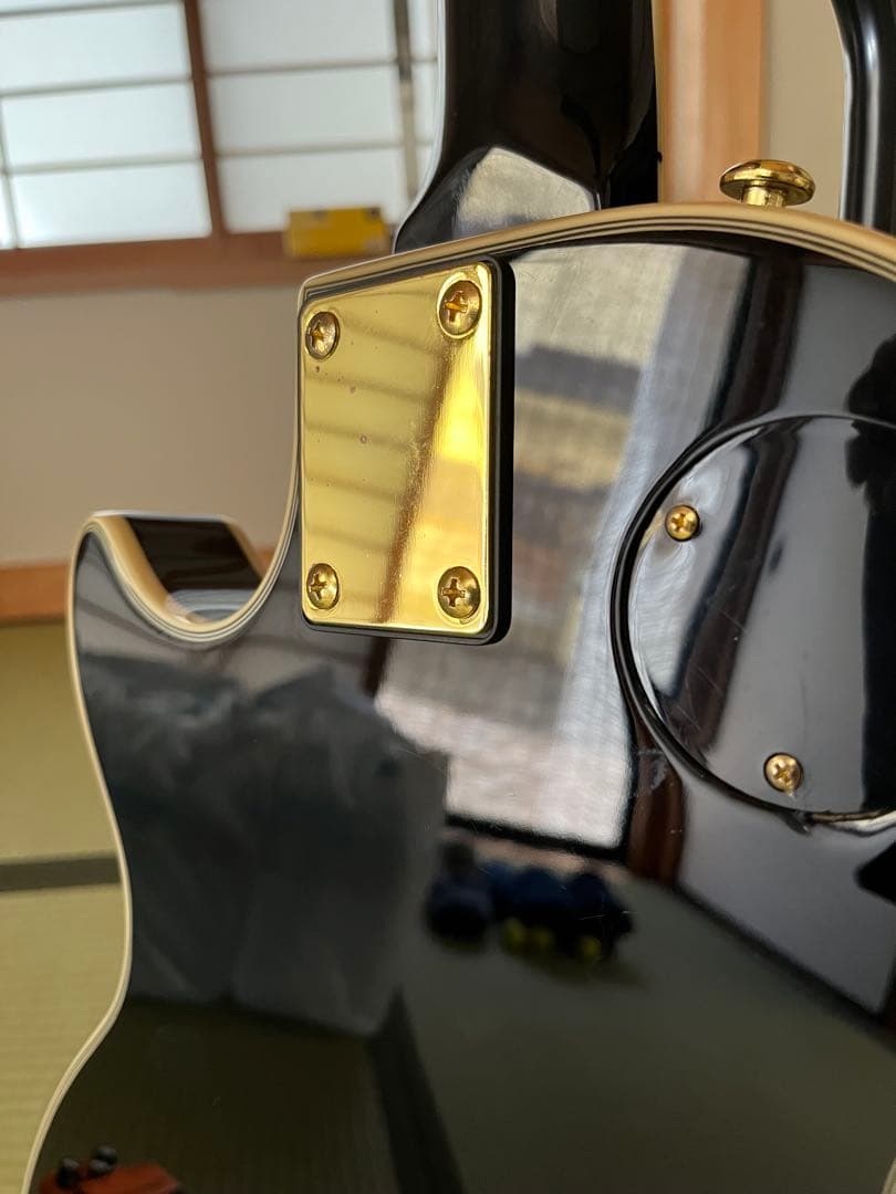 レスポールカスタム　BOSS DS-1+弦付き