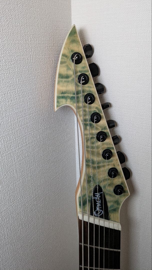 【ぎんぱち】Ormsby Hype GTR 8 8弦ギター マルチスケール