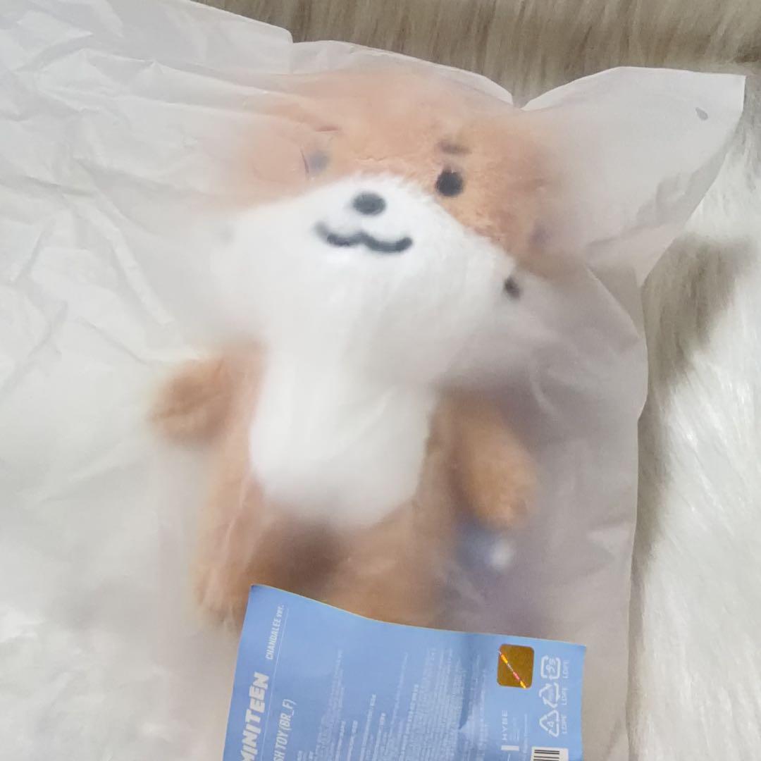 ミニティーン　ディノ　チャンダリ　ぬいぐるみSEVENTEEN プラッシュトイ