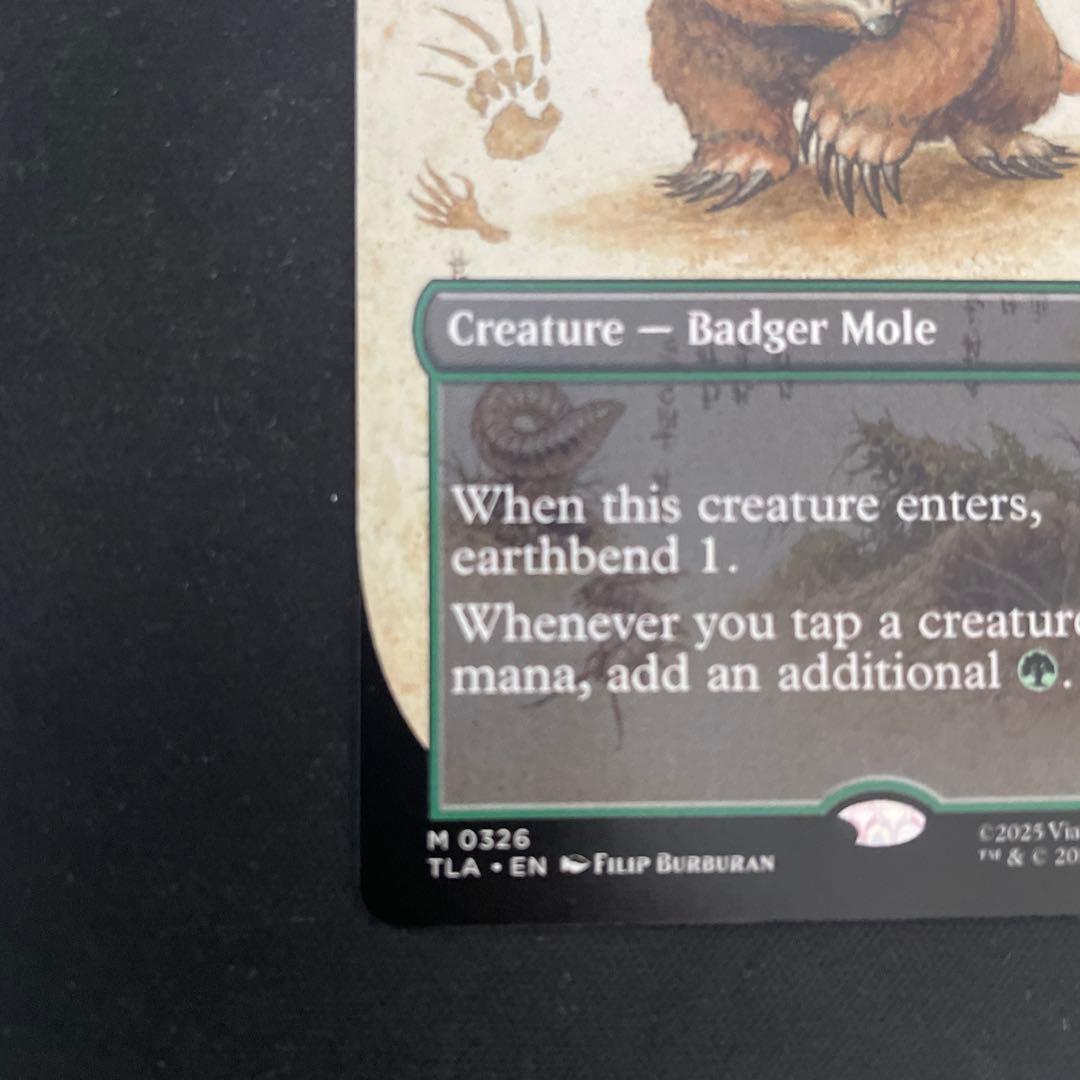 MTG アナグマモグラの子　英語　ボーダレス　Badgermole Cub