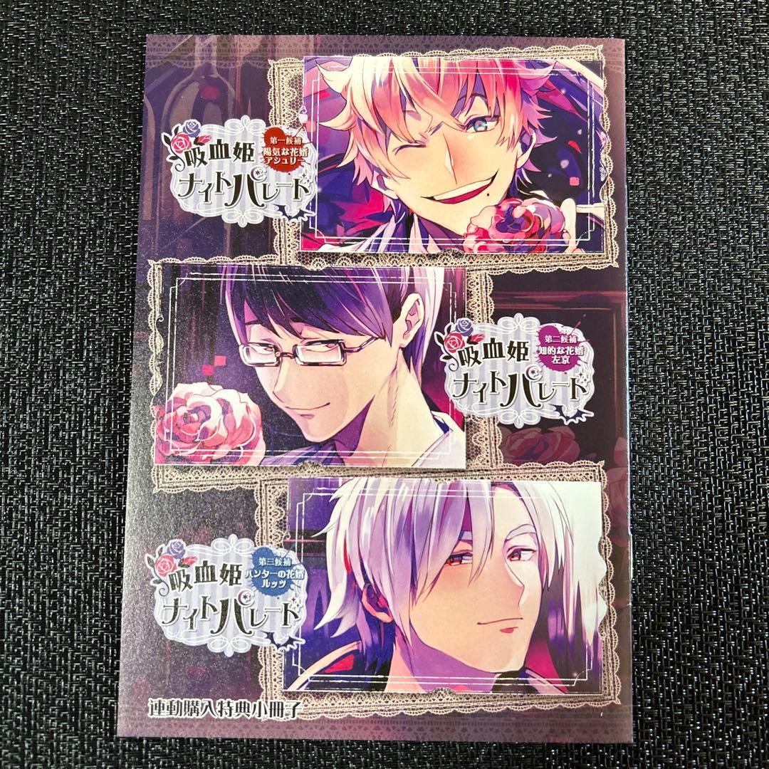 吸血姫ナイトパレード 連動購入特典 小冊子　ステラワース