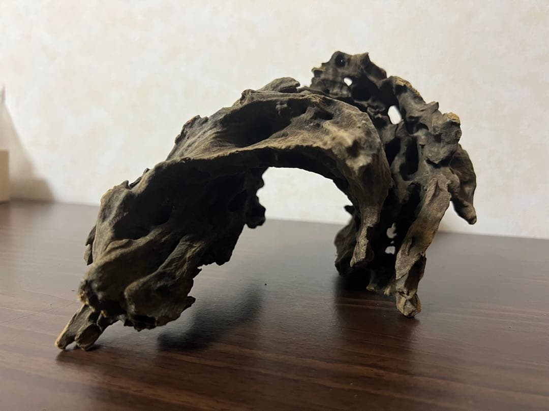 XM-367 ブランチウッド　流木　マシンガンウッド　アクアリウム　沈水確認済