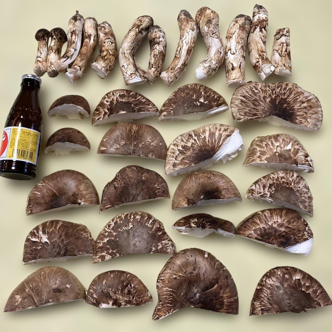 岩手県産松茸　訳あり　892g