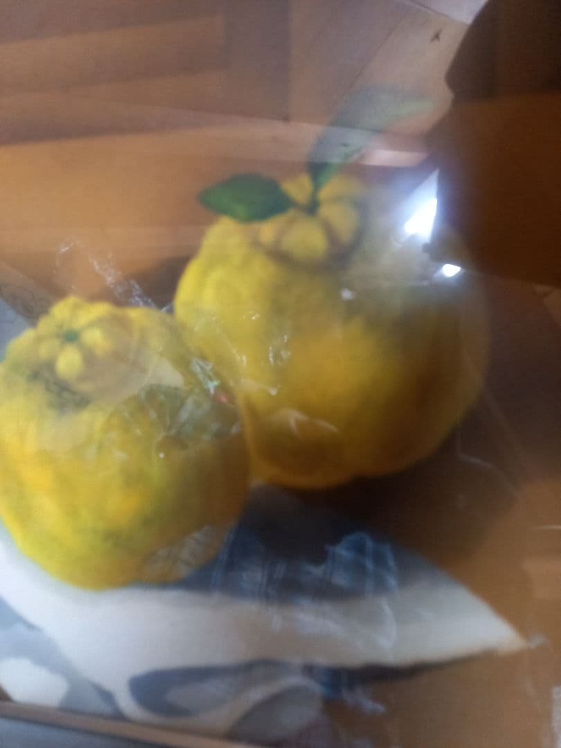 果物絵画　作者名有り！